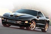 Firehawk 2001 Black-Gold Picture 2